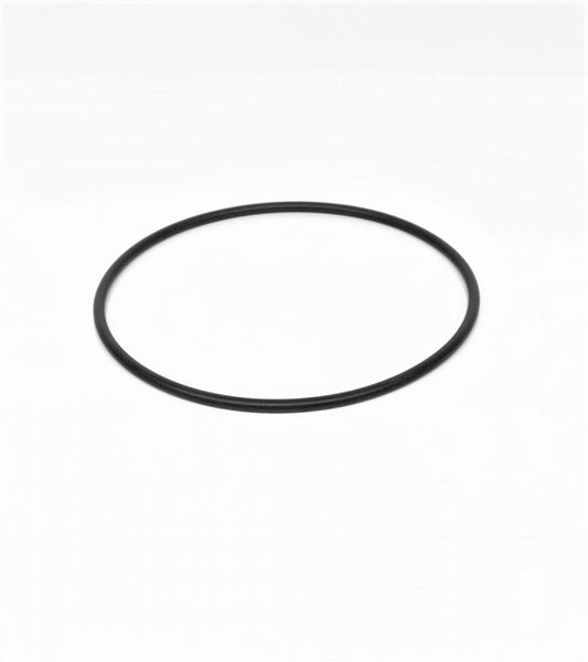 O-ring filter